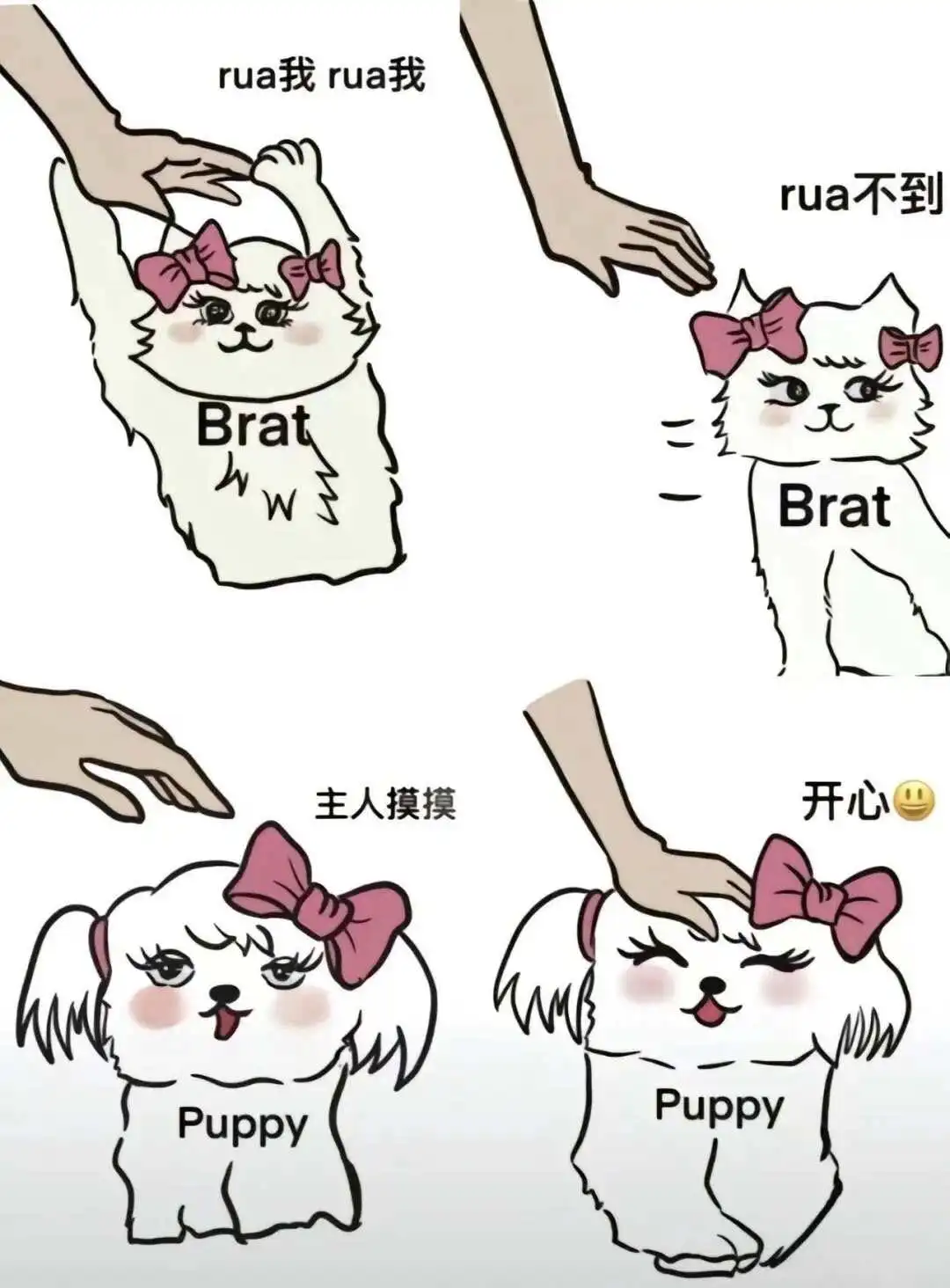 西檬之家你有s属性吗?字母圈新人如何自测 一