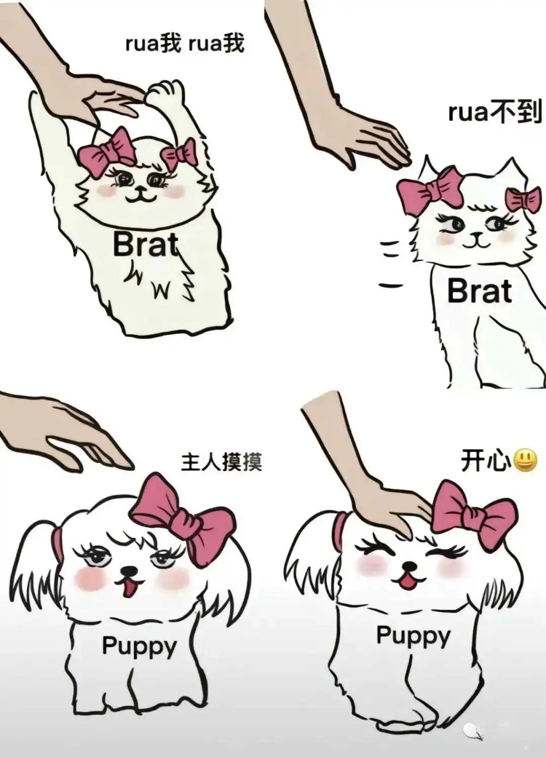 西檬之家Sub是什么? 一