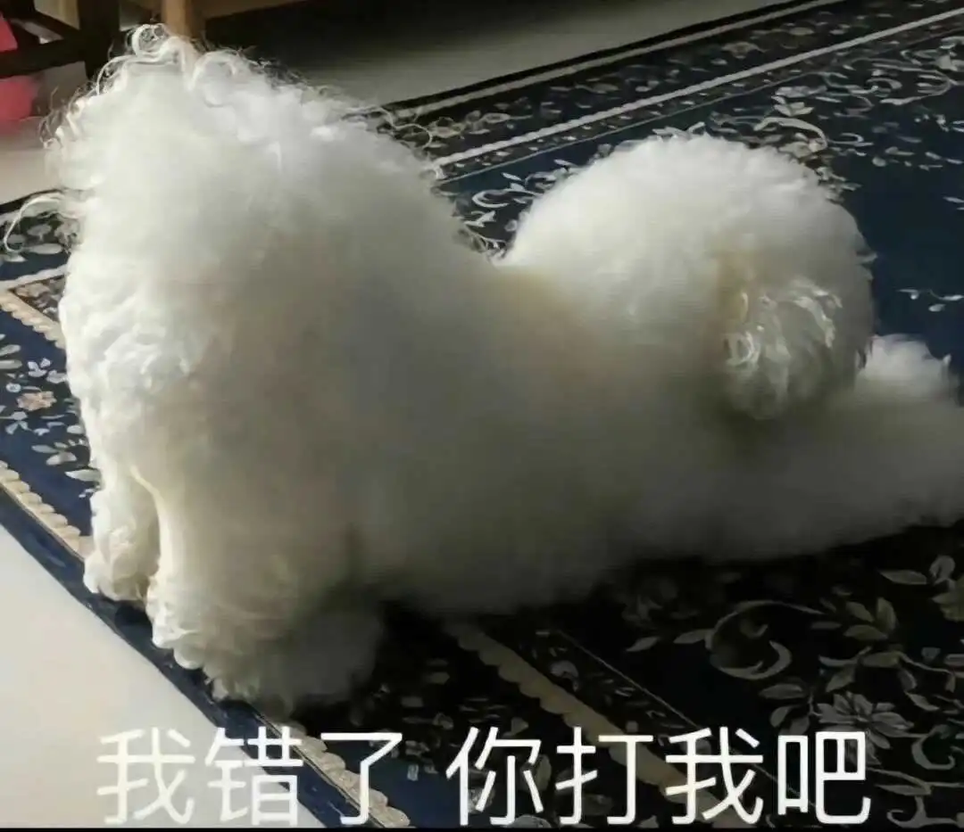 西檬之家brat属性是什么?你是这类字母圈新人吗? 一