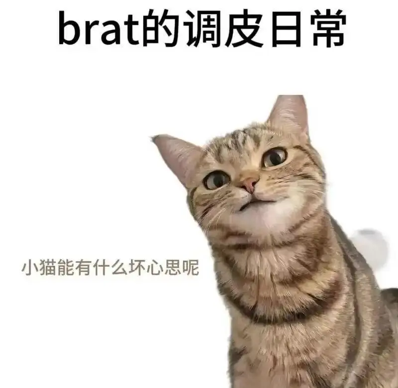 西檬之家字母圈里的DS关系到底是什么? 一