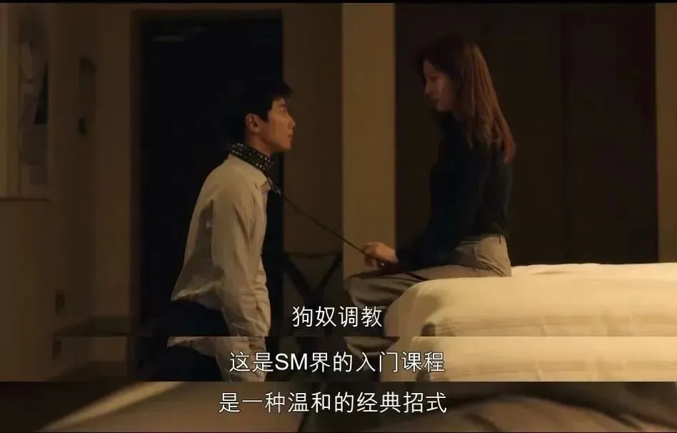 西檬之家DS关系是什么意思 一