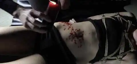 西檬之家字母圈的S倾向是什么意思? 一