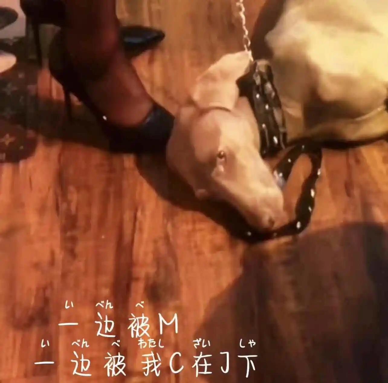 西檬之家BDSM圣水玩法与安全须知 一