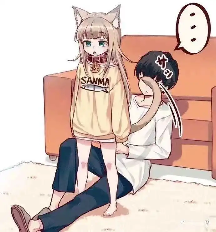 西檬之家k9是什么? 一