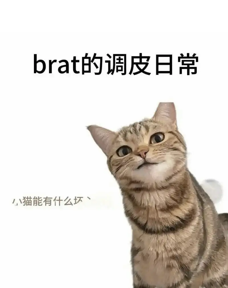 西檬之家字母圈Brat属性是什么? 一