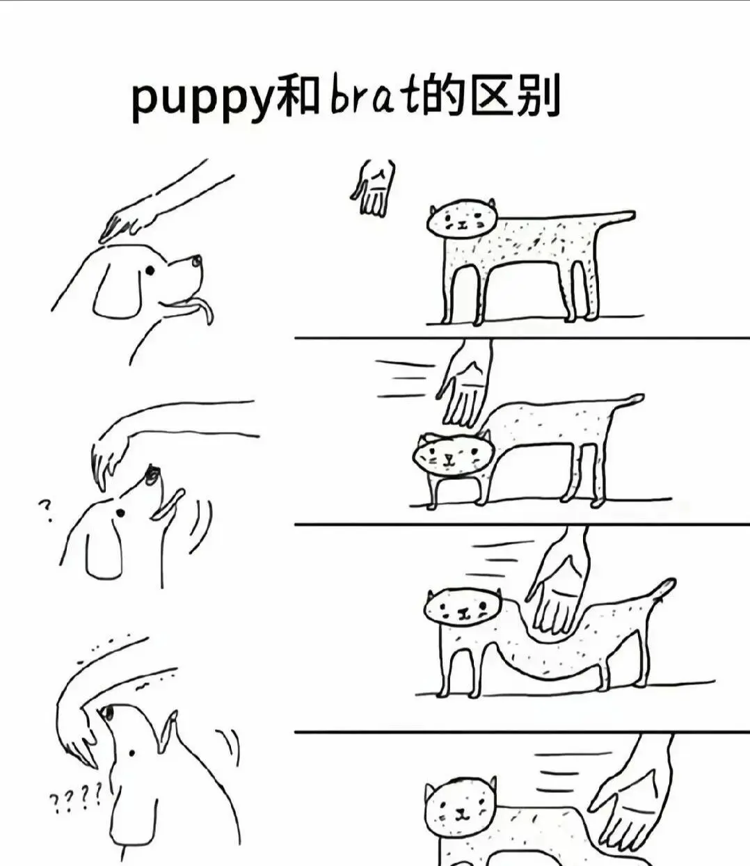 西檬之家BDSM入圈指南:新手如何正确开启字母圈之旅 一