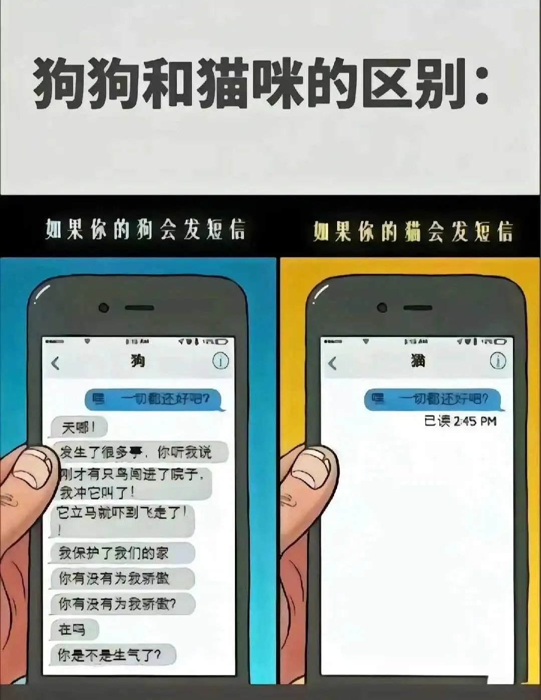 西檬之家sm亚文化新人指南 一